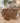 TORY BURCH AMANDA SATCHEL CROSSBODY PEBBLED LEATHER GOLD TONE HARDWARE HANDBAG