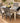 CRATE & BARREL DINING TABLE,6 CHAIRS,CUSHIONS,3 LEAVES
