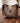 BRIGHTON TAN AND BROWN HANDBAG WITH LEOPARD CLASP