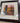 WIDE BROWN FRAME W/ABSTRACT CEDAR TREE LANDSCAPE IN BROWN GREEN & GOLD