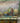 ABSTRACT TREES IN LANDSCAPE ON CANVAS
