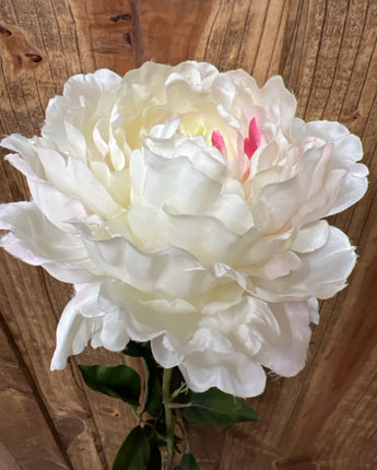 WHITE PEONY LONG STEM