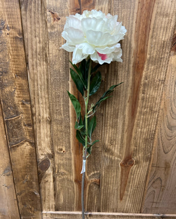 WHITE PEONY LONG STEM