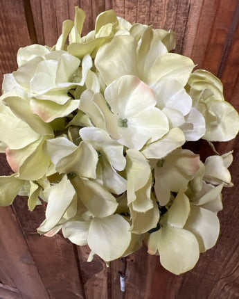 GREEN HYDRANGEA LONG STEM