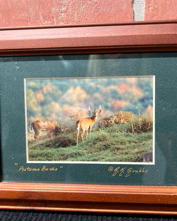 R. K GRUBBS "AUTUMN BUCKS" BROWN WOOD FRAME  7"X8.5"