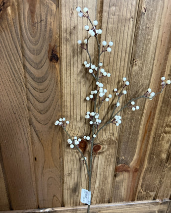 LONG STEM WHITE BERRIES