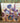 PURPLE & BLUE FLOWERS ON CANVAS