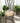 RUSTIC METAL DISTRESSED ACCENT CHAIR
