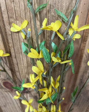 YELLOW WISTERIA BUSH LONG STEM