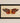 ANTHROPOLOGIE CRACKLED MOTH WALL ART WITH BLACK FRAME