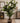 80"X45" ARTIFICIAL FIG TREE WITH BROWN POT