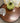 PIE CRUST ROUND END TABLE, MAHOGANY WOOD, w/ PEDESTAL, 3 LEGS