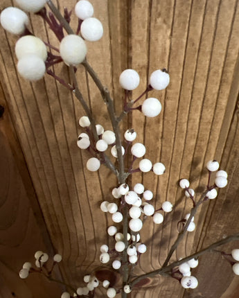 LONG STEM WHITE BERRIES