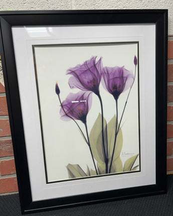 ALBERT KOETSIER ROYAL PURPLE GENTIAN WHITE MATTE & BLACK FRAME