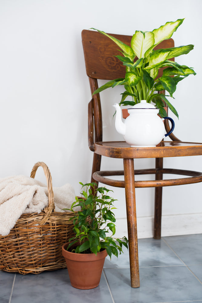 What We Accept – Consigners Collection